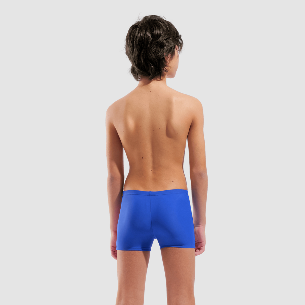 Arena B Arena Graphic Swim Short Swim Short in BLAU