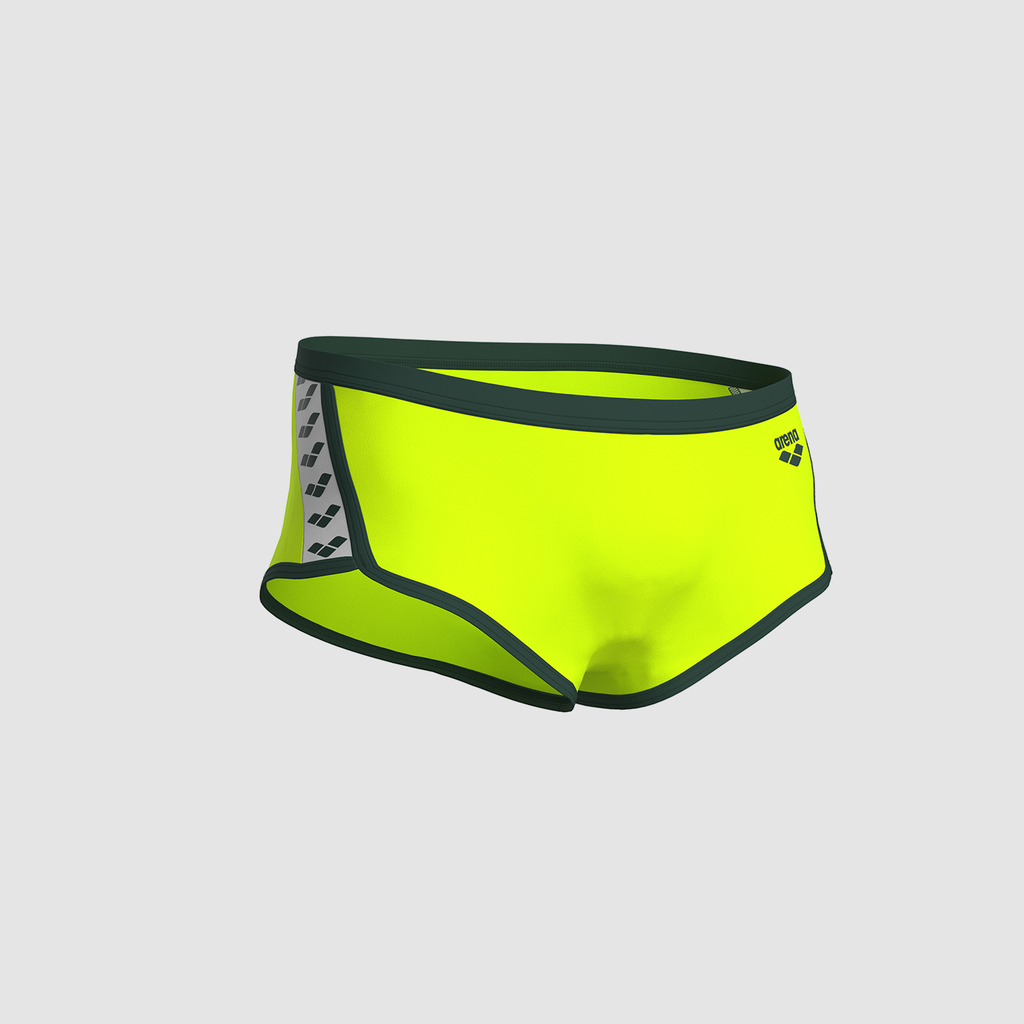 Arena Arena Icons Swim Low Waist Short Solid in GRÜN