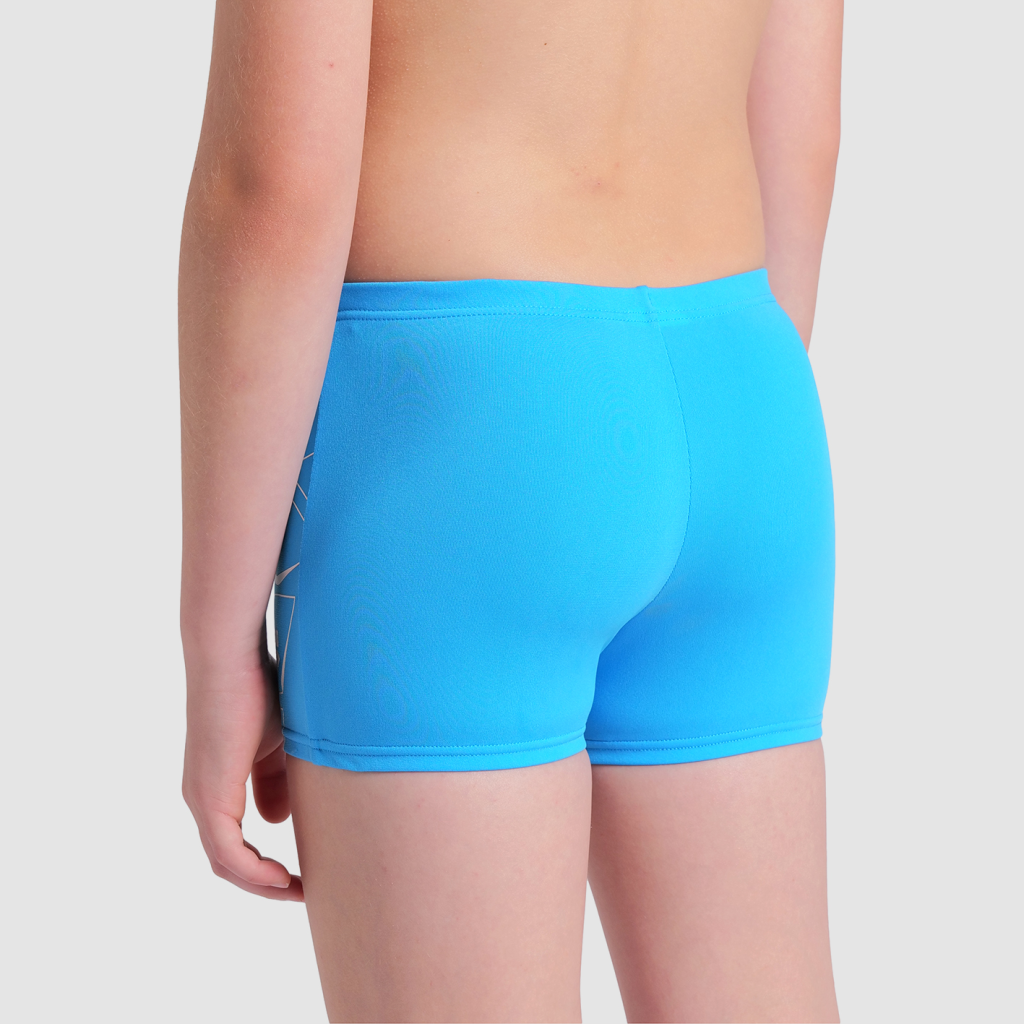 Arena B Arena Losange Graphic Swim Short Swim Short in BLAU