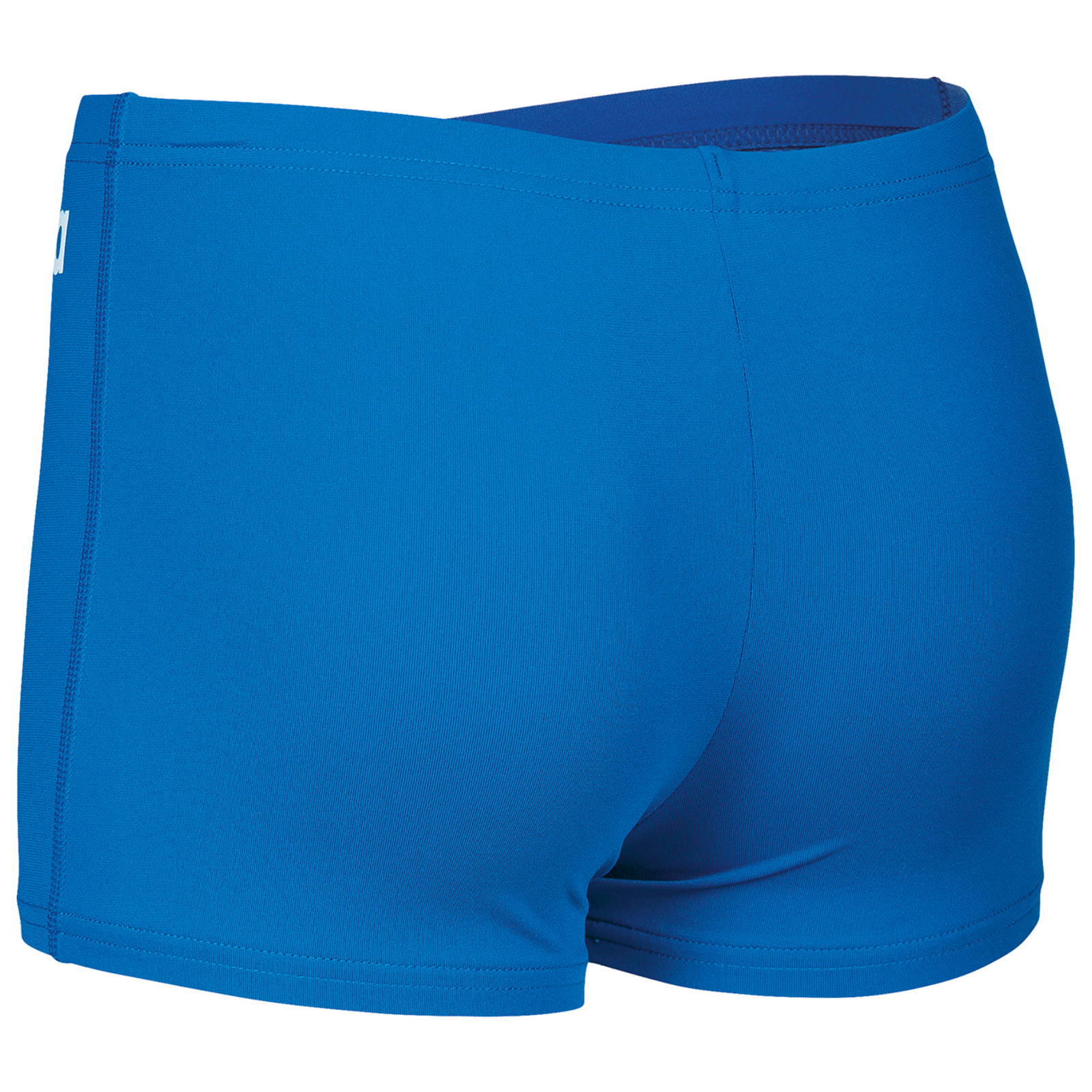 Arena Team Swim Short Solid in BLAU