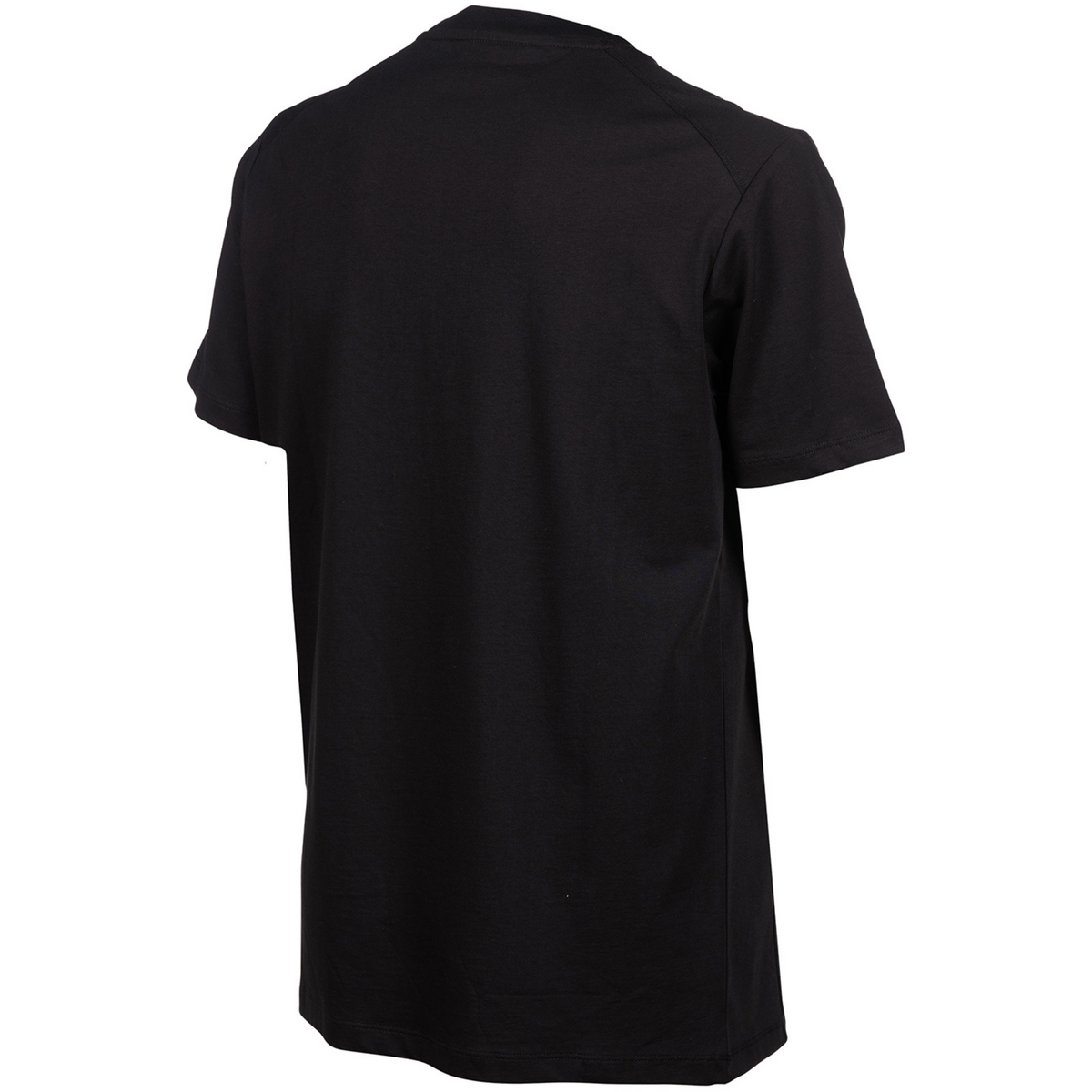 Arena Team T-Shirt Panel in SCHWARZ