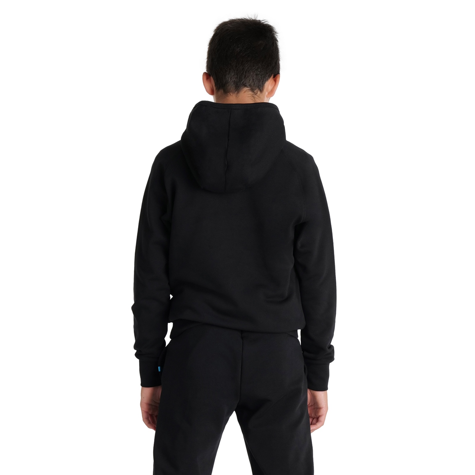 Arena Team Hooded Sweat Panel in SCHWARZ