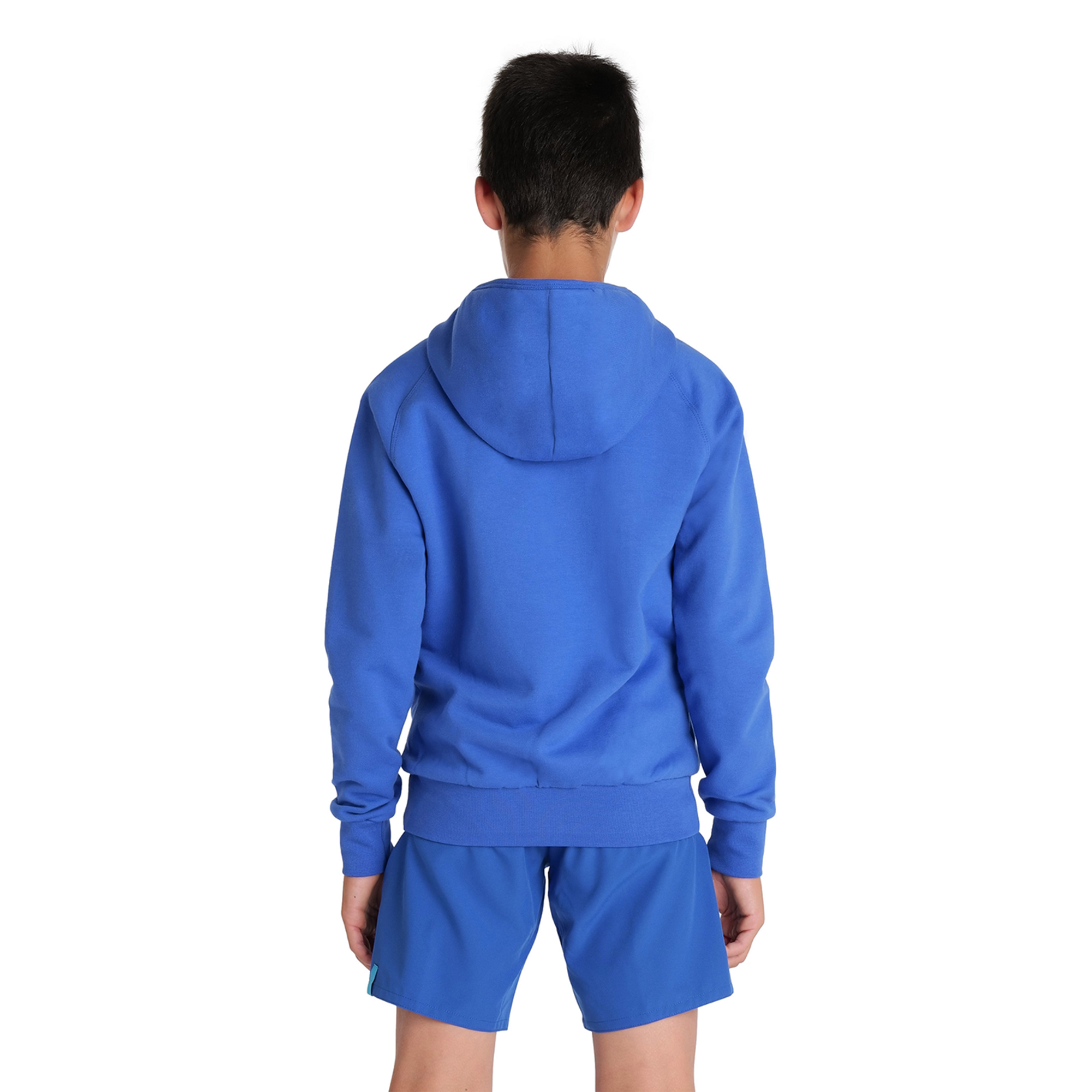 Arena Team Hooded Sweat Panel in BLAU