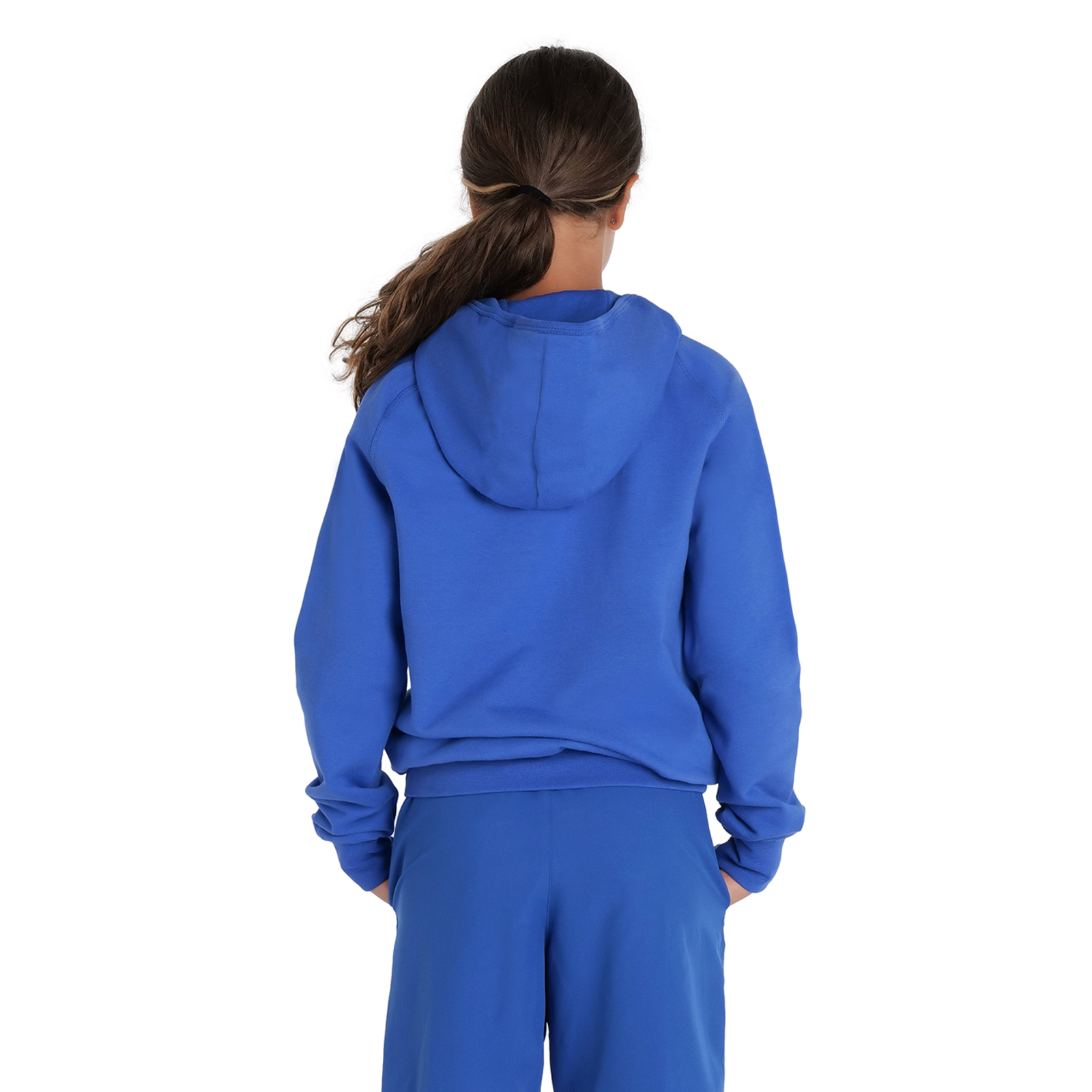 Arena Team Hooded Sweat Panel in BLAU