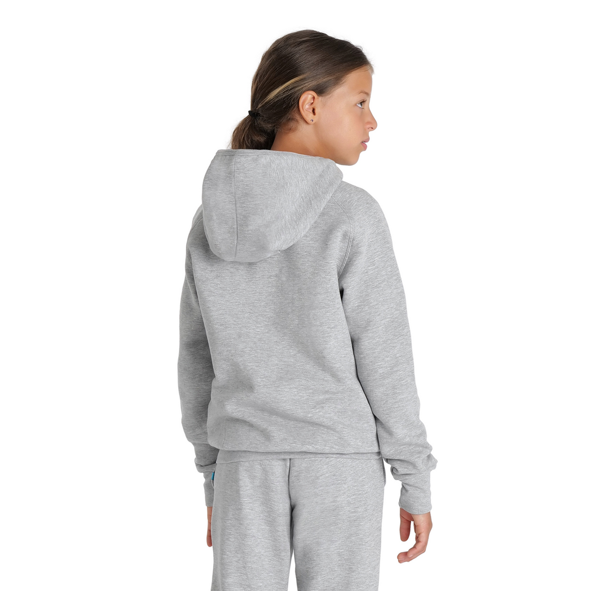 Arena Team Hooded Sweat Panel in GRAU