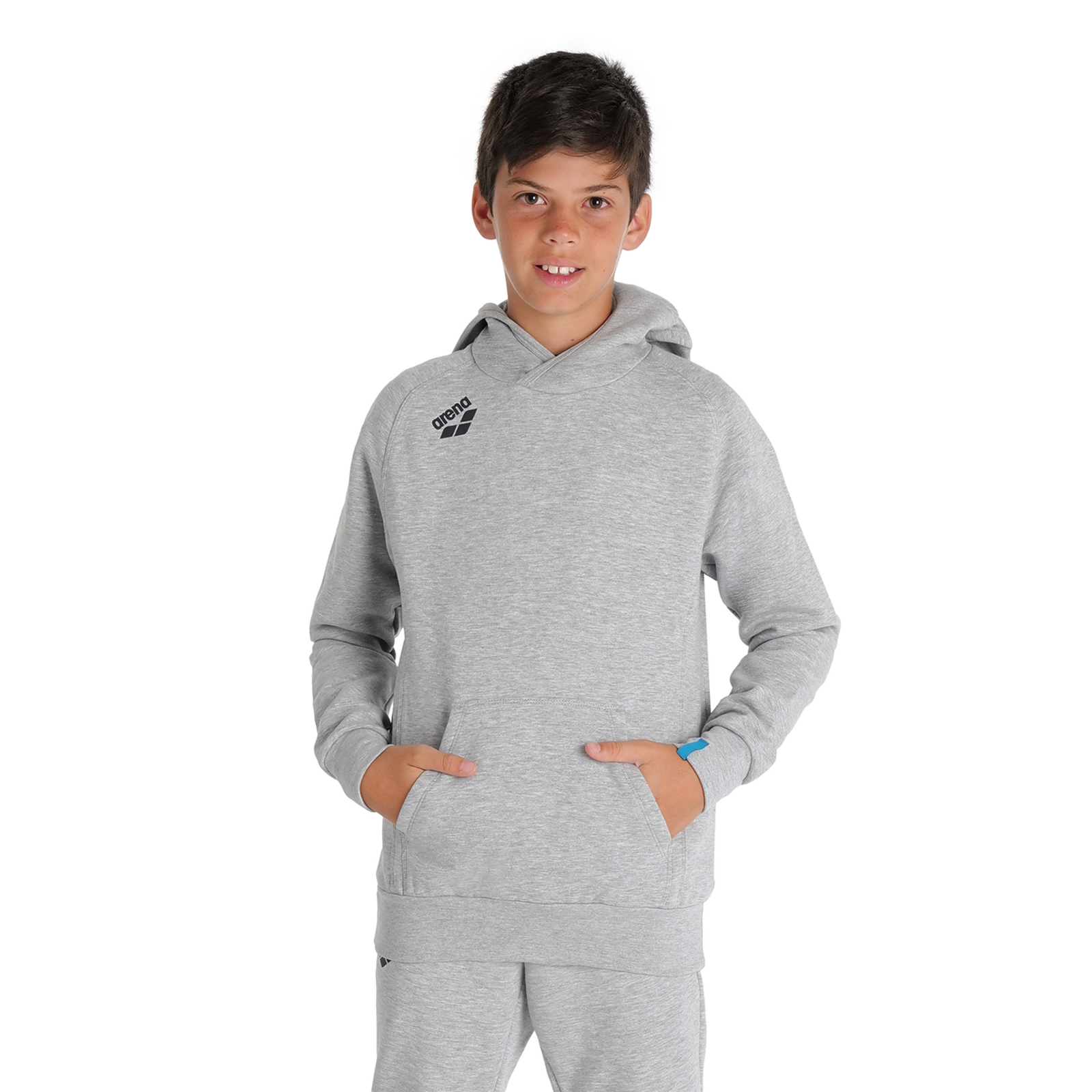 Arena Team Hooded Sweat Panel in GRAU