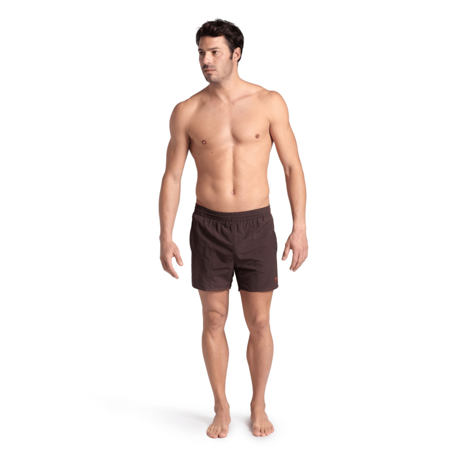 Arena Bywayx R Beach Short in BRAUN