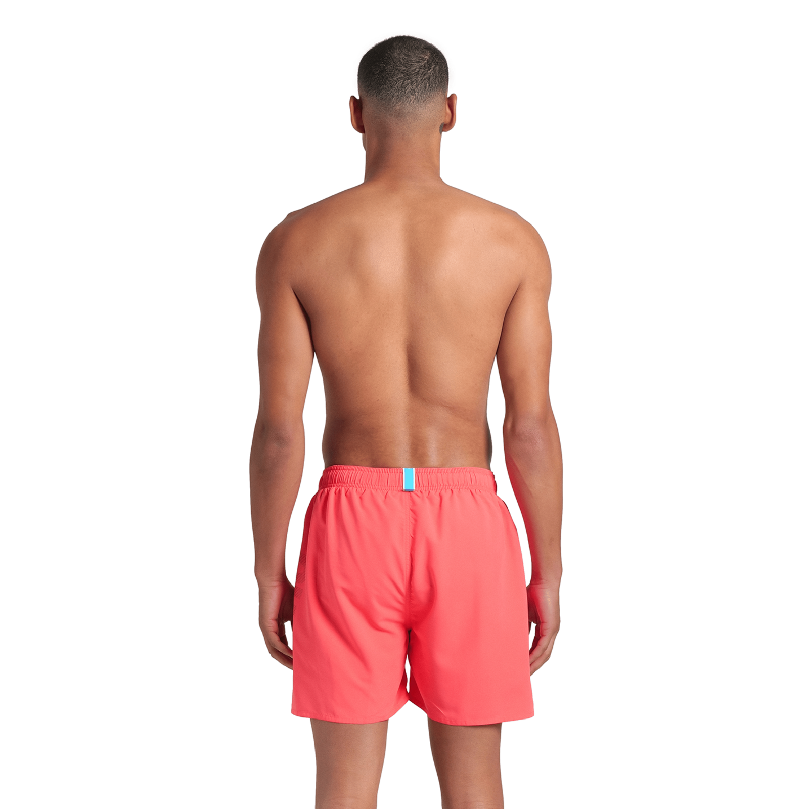 Arena Fundamentals Arena Logo Boxer R in ROT