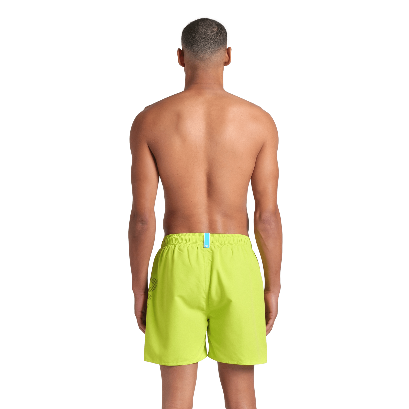 Arena Fundamentals Arena Logo Boxer R in GRÜN
