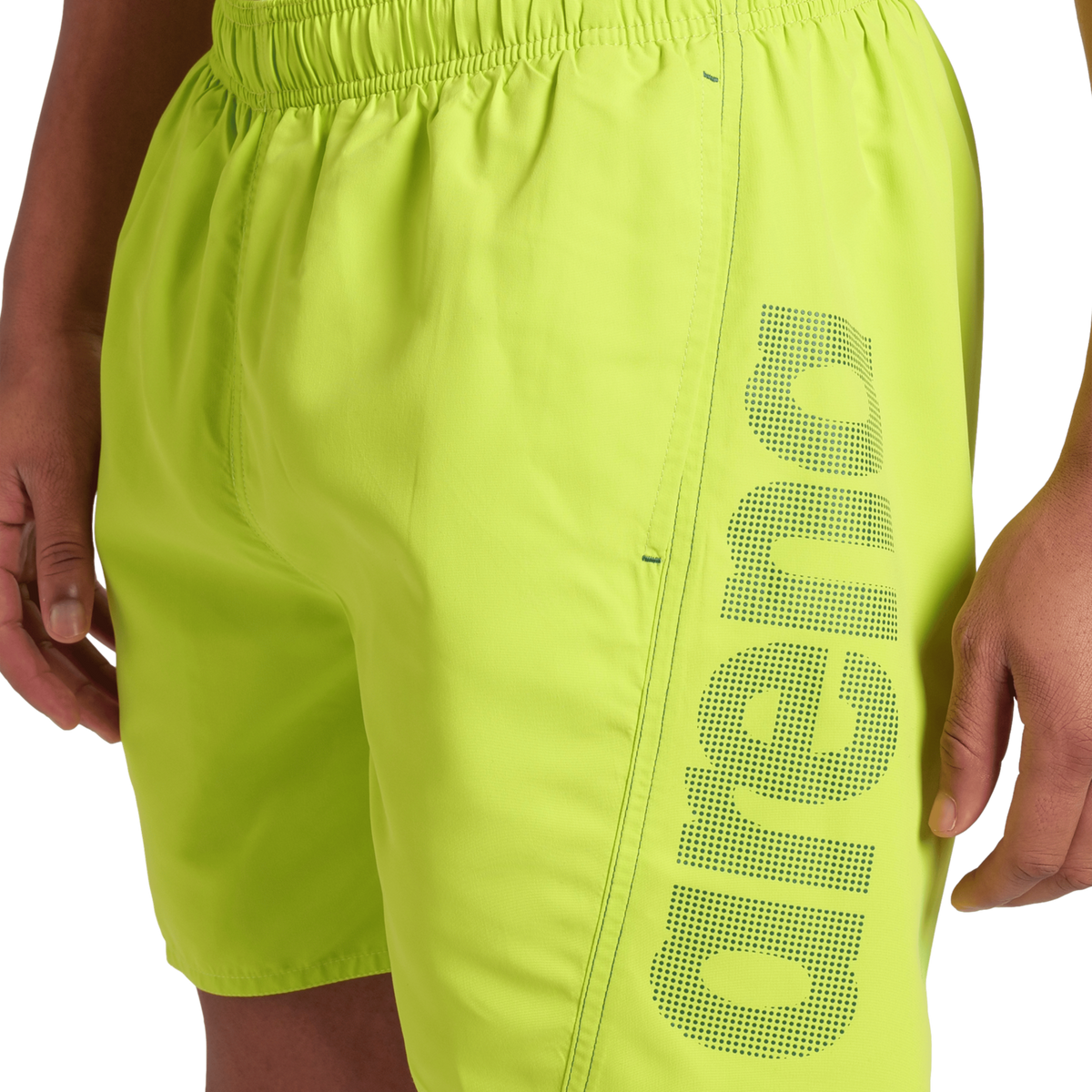 Arena Fundamentals Arena Logo Boxer R in GRÜN