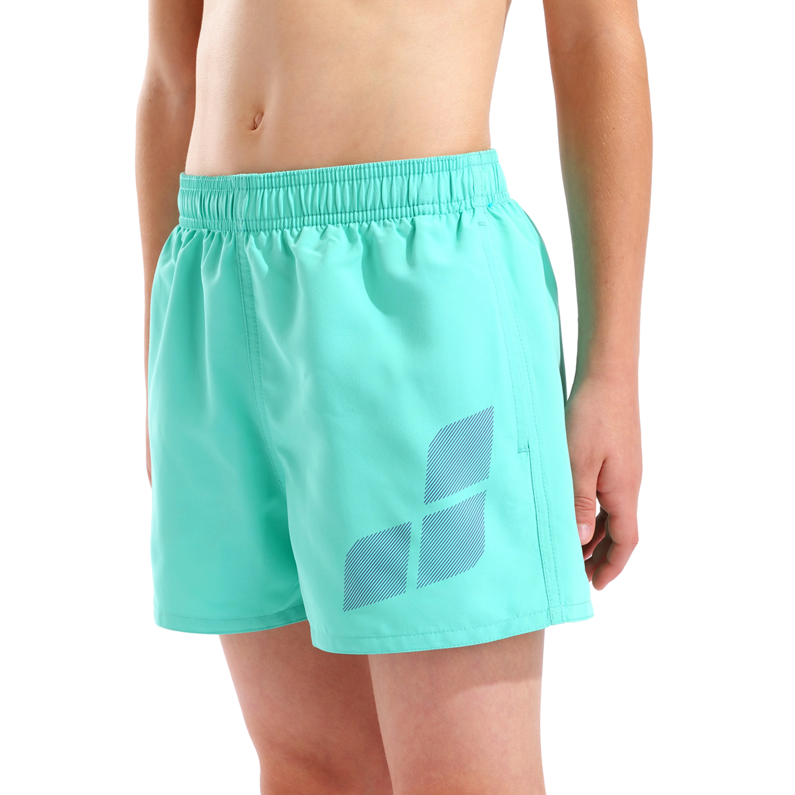 Arena B Beach Short Logo R Beach Short in BLAU