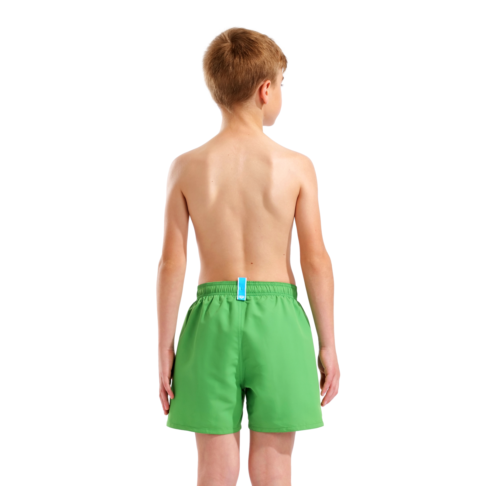 Arena Beach Boxer Solid R in GRÜN