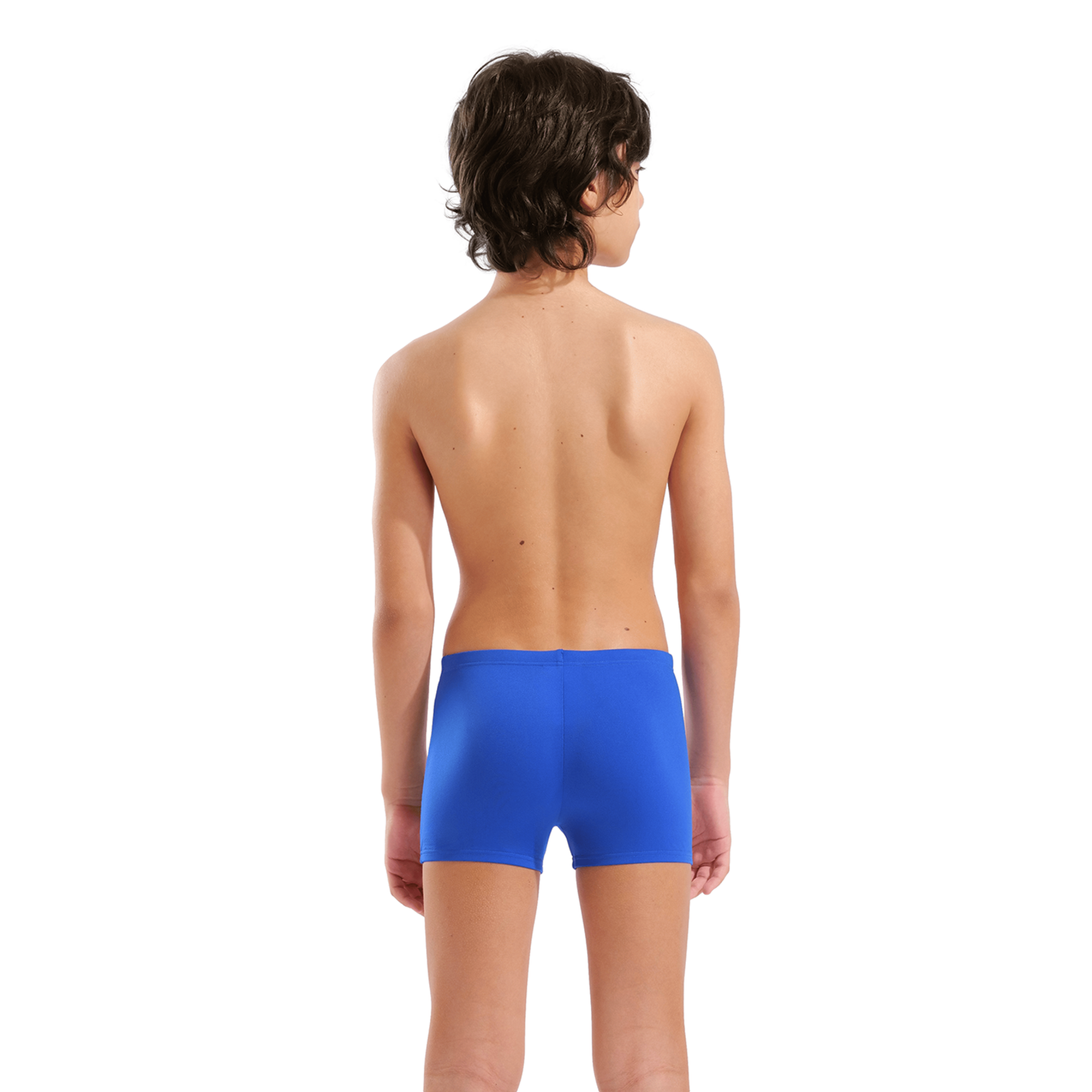 Arena B Arena Bright Swim Short Swim Short in BLAU