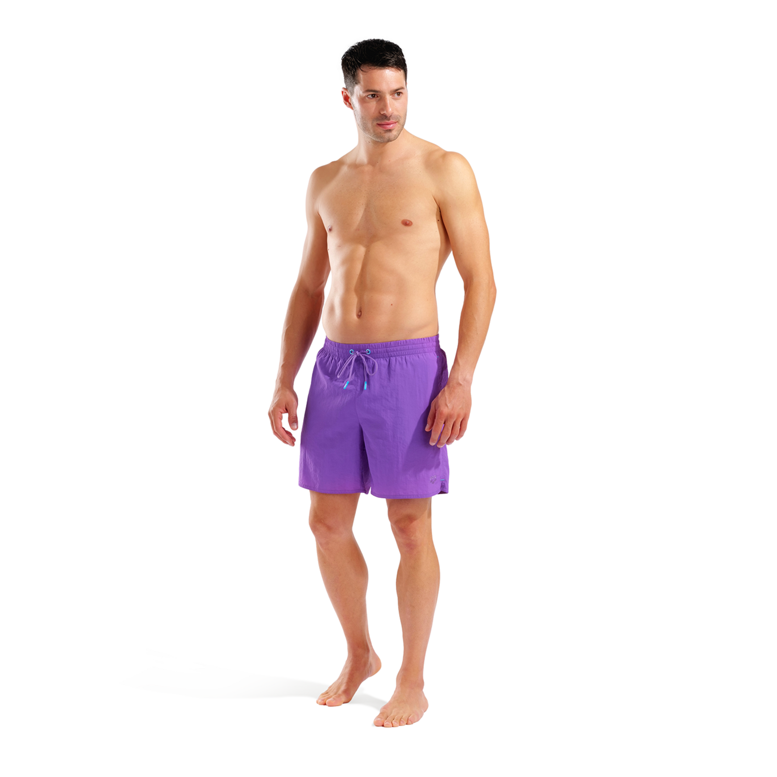 Arena M Arena Solid Boxer Beach Short in VIOLETT