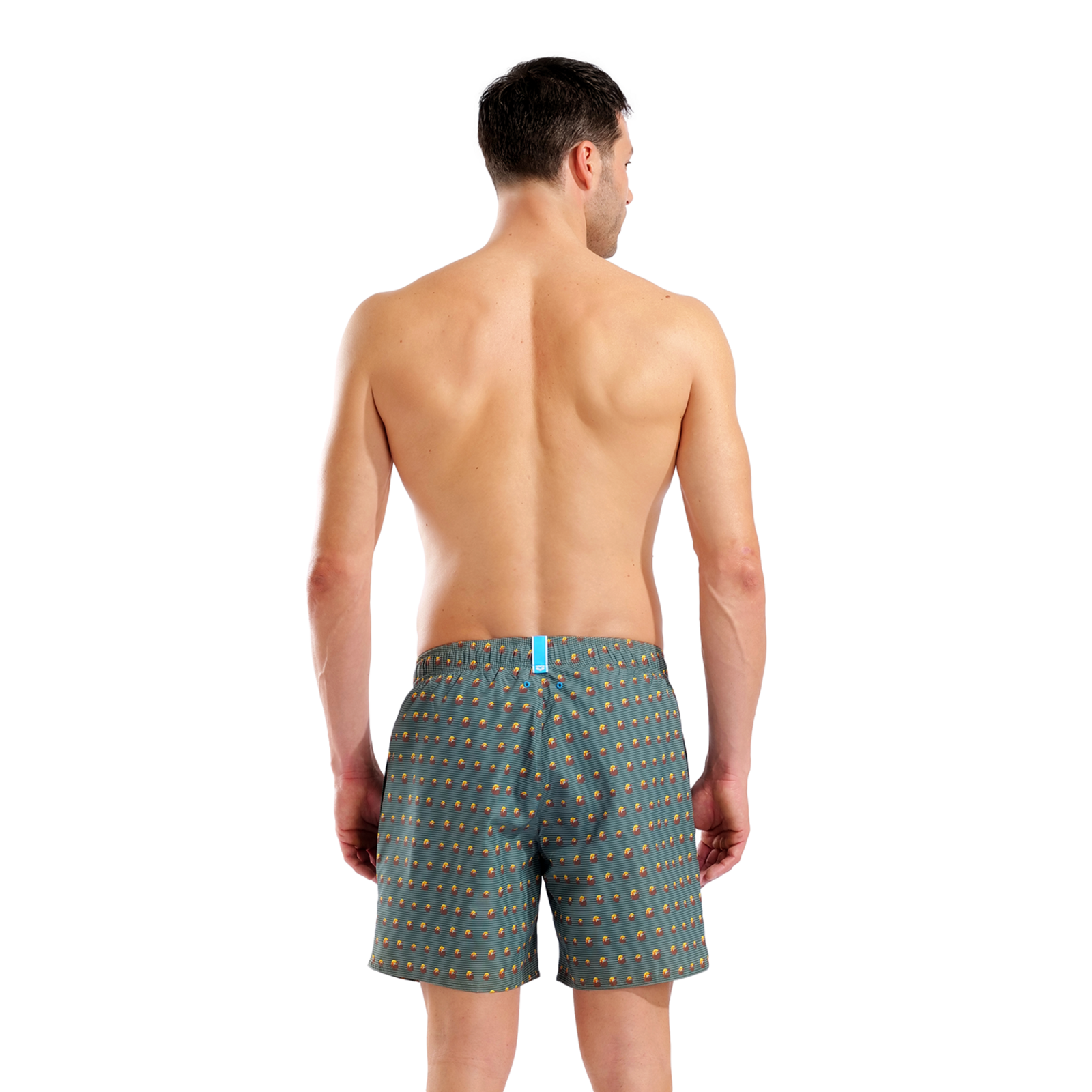Arena M Beach Boxer Allover Beach Short in GRÜN