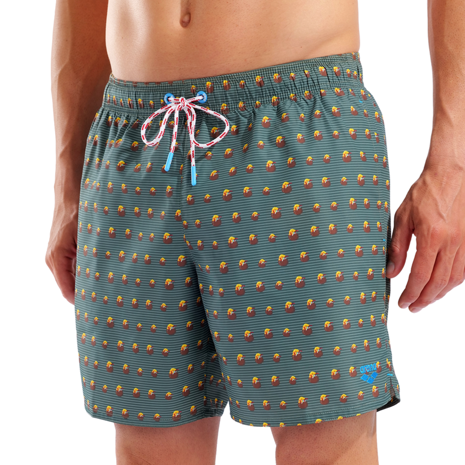 Arena M Beach Boxer Allover Beach Short in GRÜN