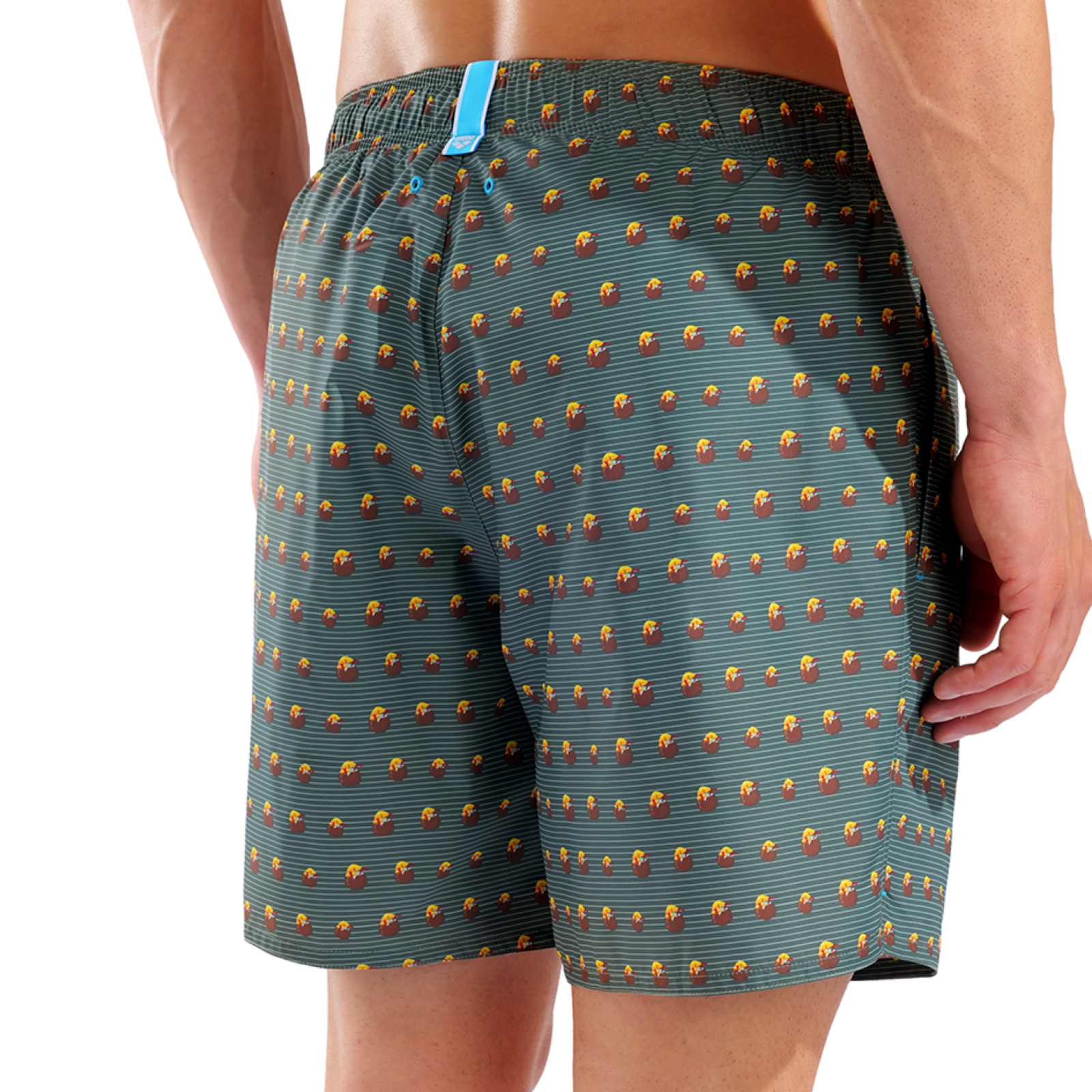 Arena M Beach Boxer Allover Beach Short in GRÜN