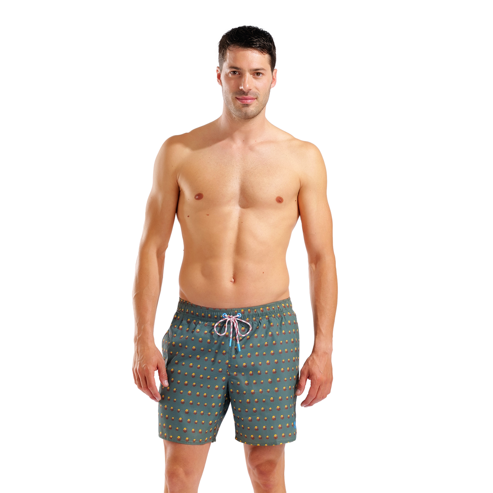Arena M Beach Boxer Allover Beach Short in GRÜN