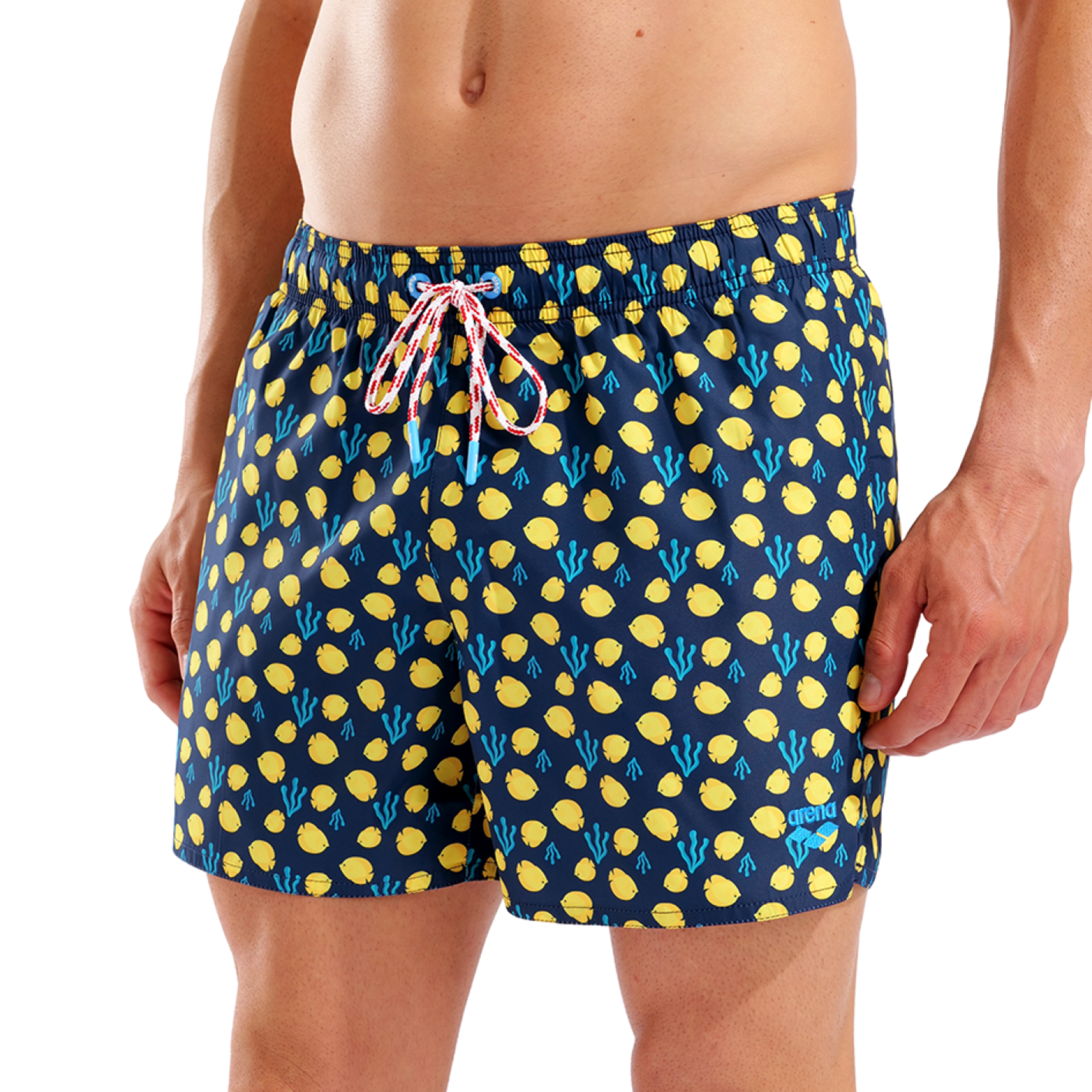 Arena M Beach Short Allover Beach Short in BLAU