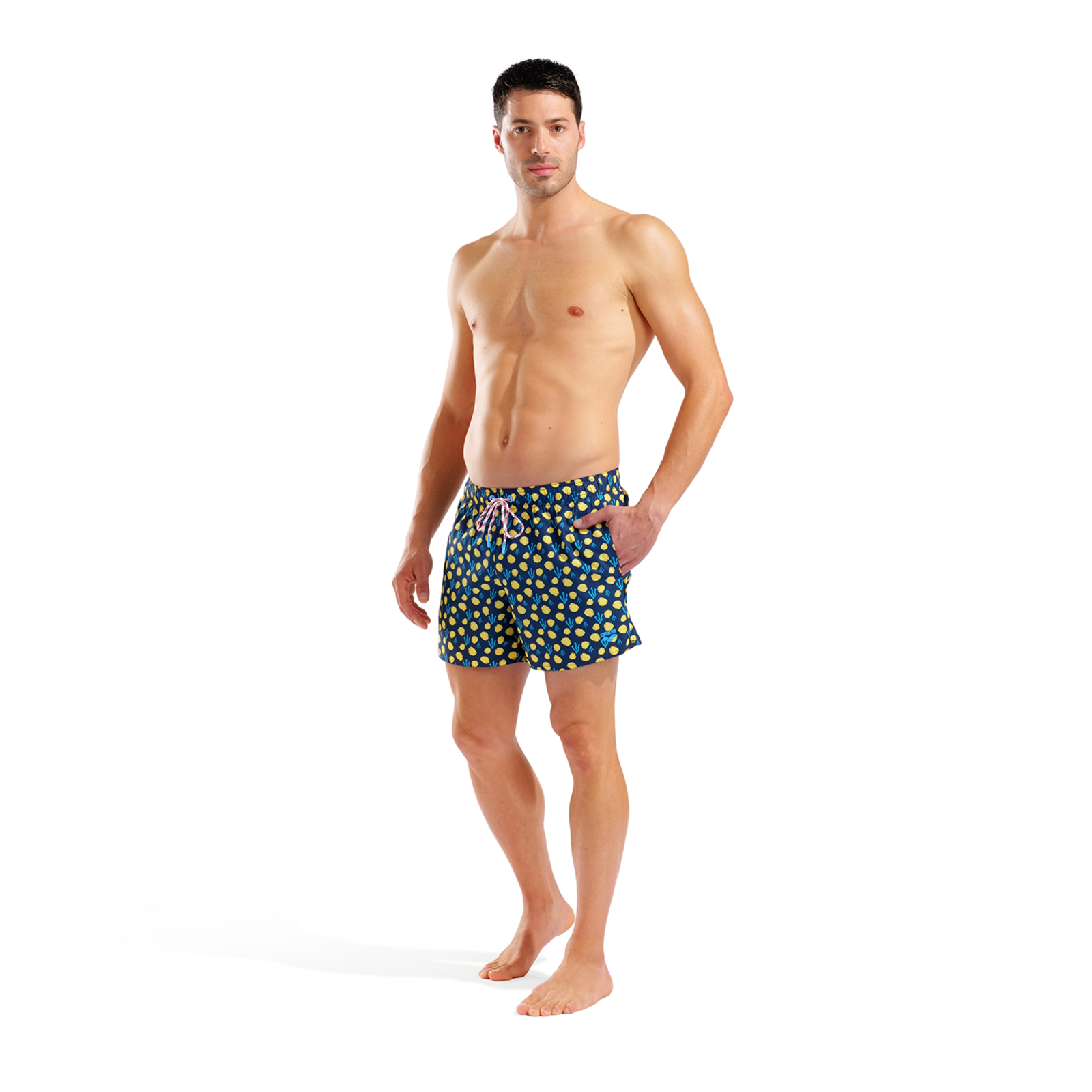 Arena M Beach Short Allover Beach Short in BLAU