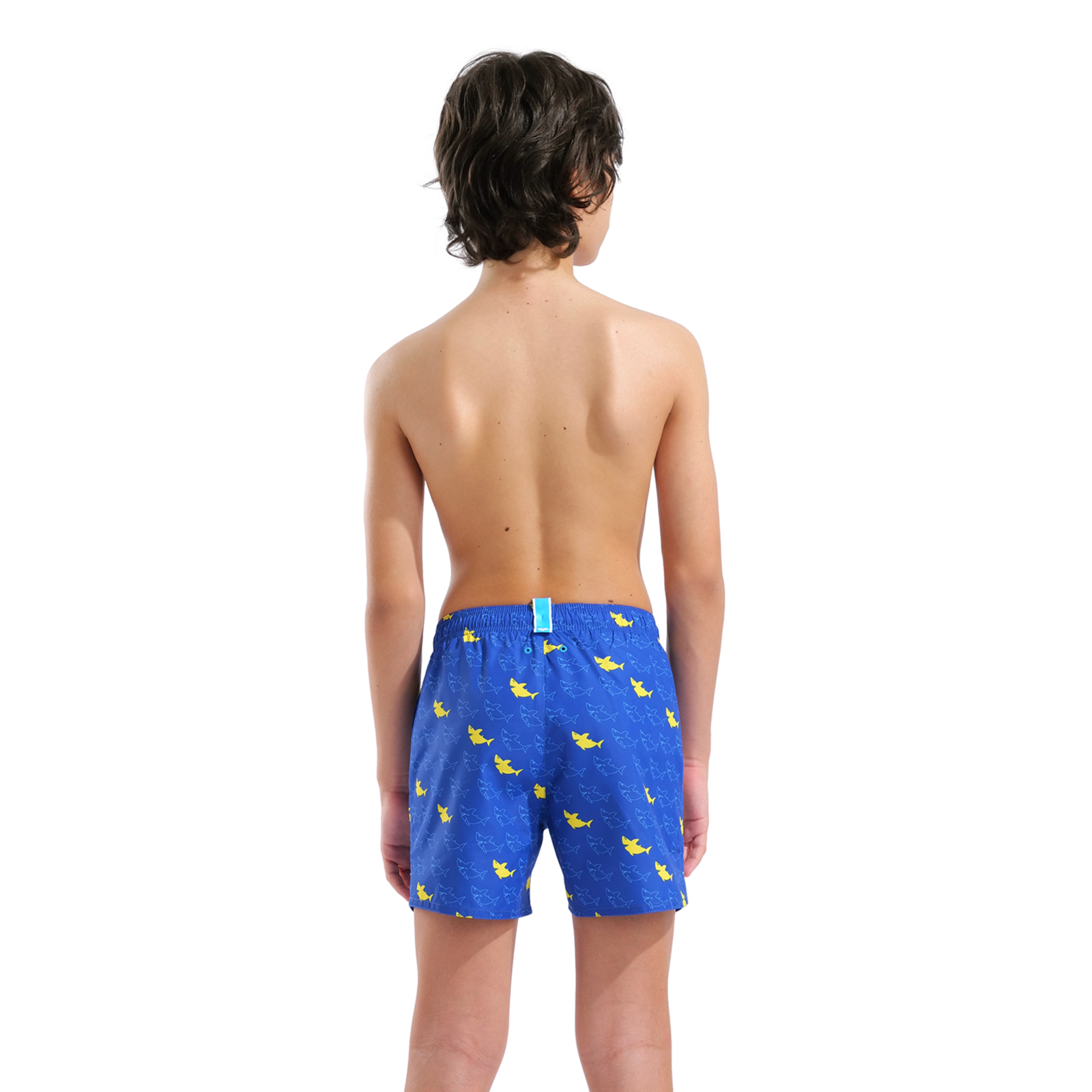 Arena B Beach Boxer Allover Beach Short in BLAU