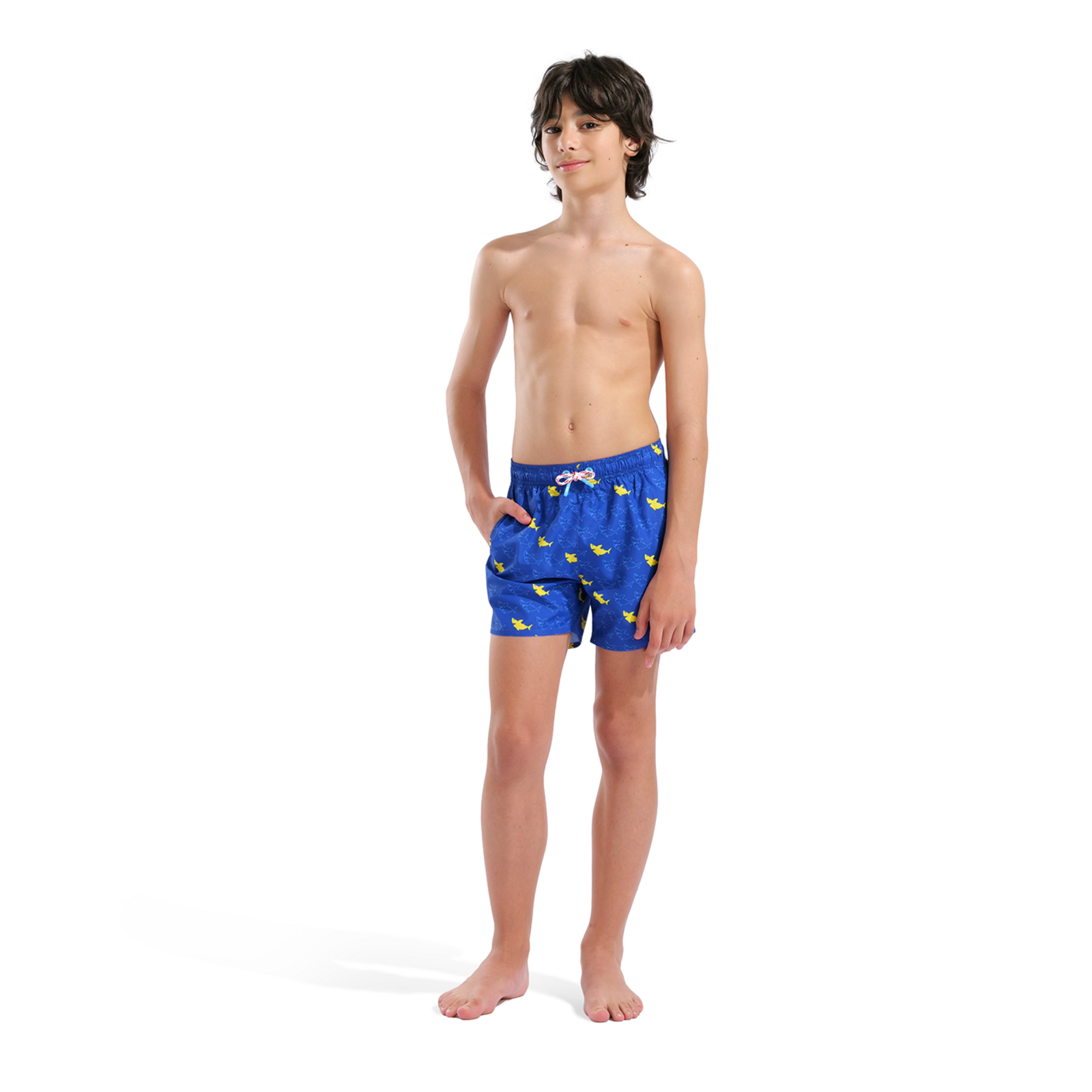 Arena B Beach Boxer Allover Beach Short in BLAU