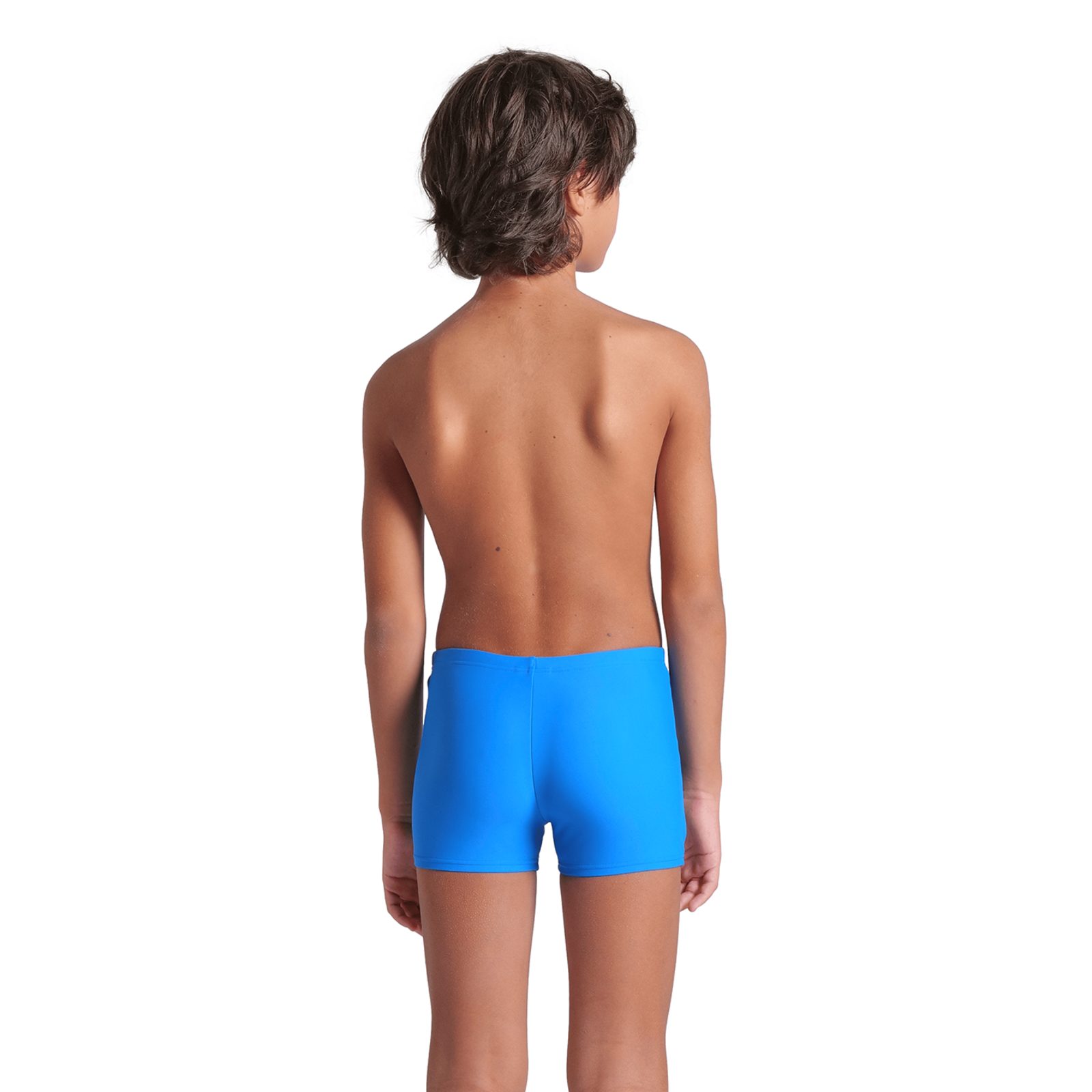 Arena B Arena Tales Swim Short Swim Short in BLAU