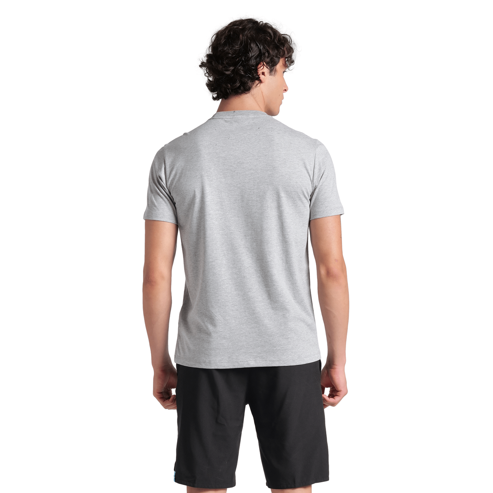 Arena T-Shirt Logo T-Shirt in GRAU