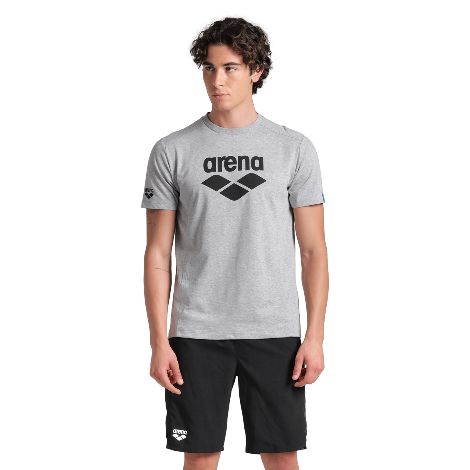 Arena T-Shirt Logo T-Shirt in GRAU