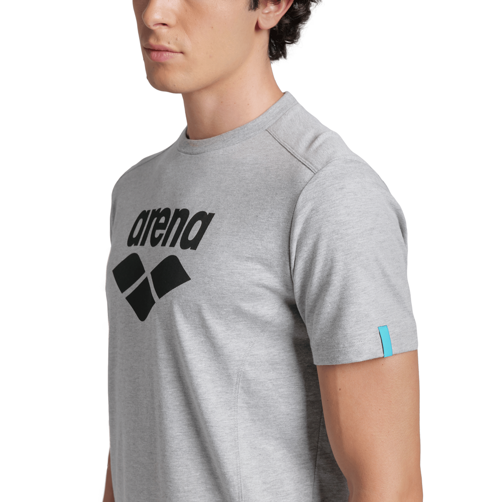Arena T-Shirt Logo T-Shirt in GRAU