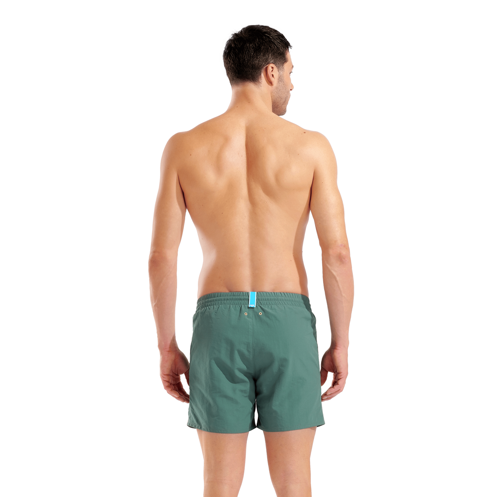 Arena M Arena Graphic Beach Short Beach Short in GRÜN