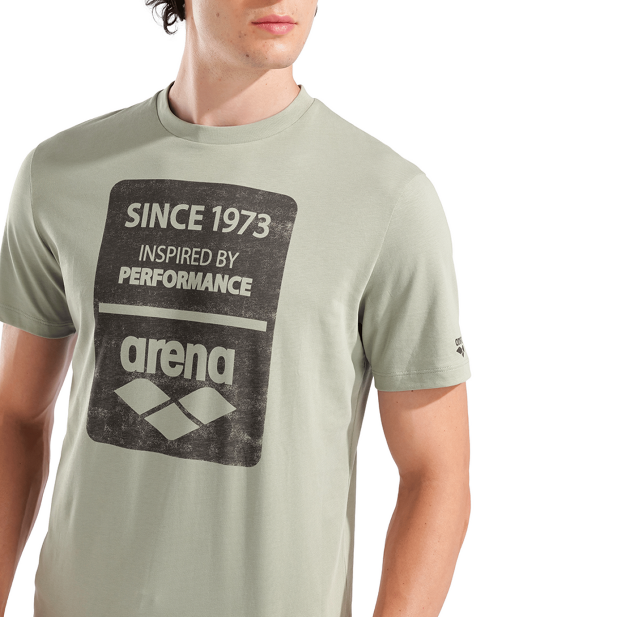 Arena M Arena 1973 Print T-Shirt T-Shirt in GRÜN