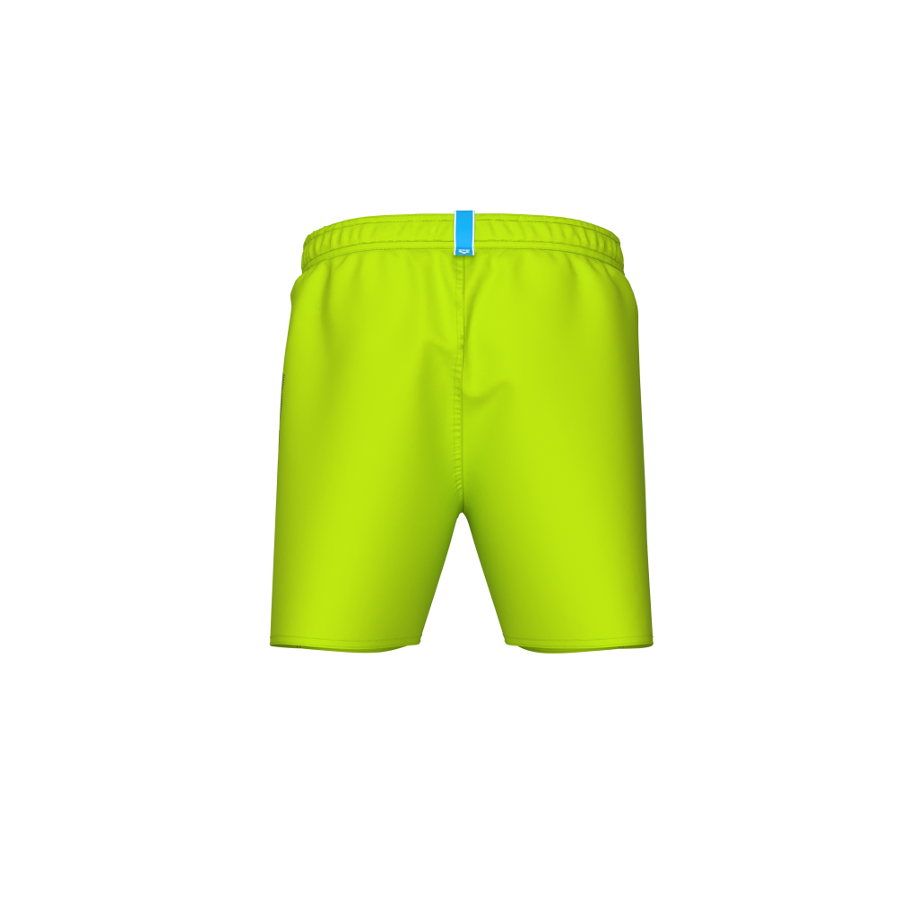 Arena Fundamentals Arena Logo Boxer R in GRÜN