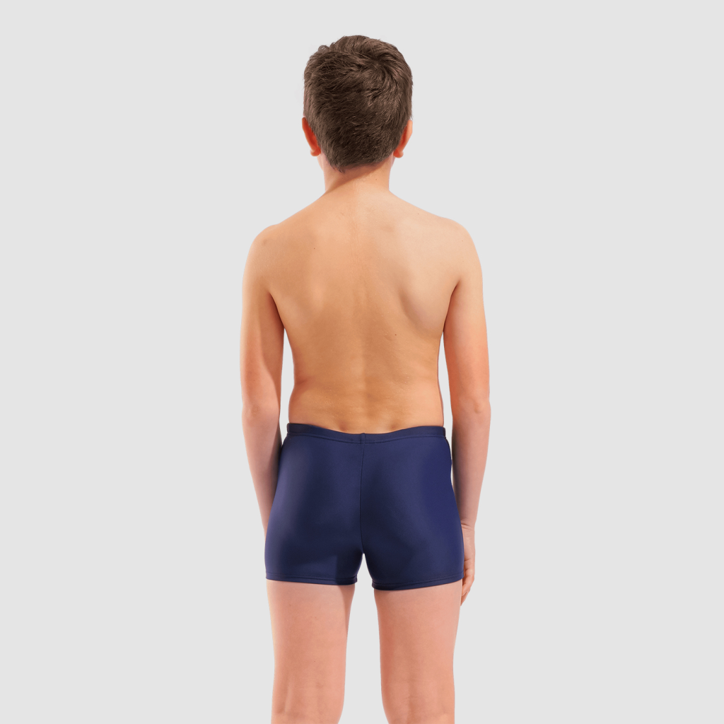 Arena B Arena Dim Light Swim Short Swim Short in BLAU