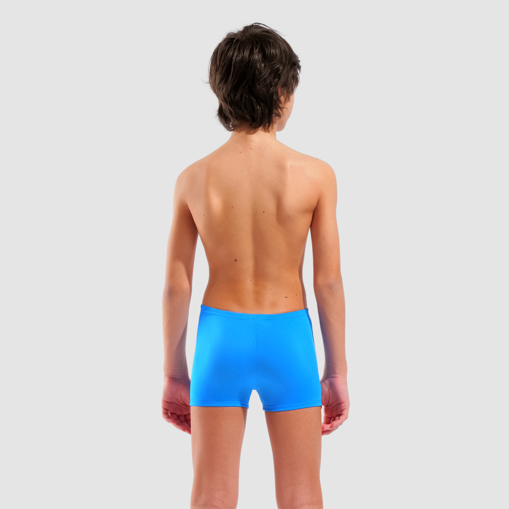 Arena B Arena Poseidonia Swim Short Swim Short in BLAU