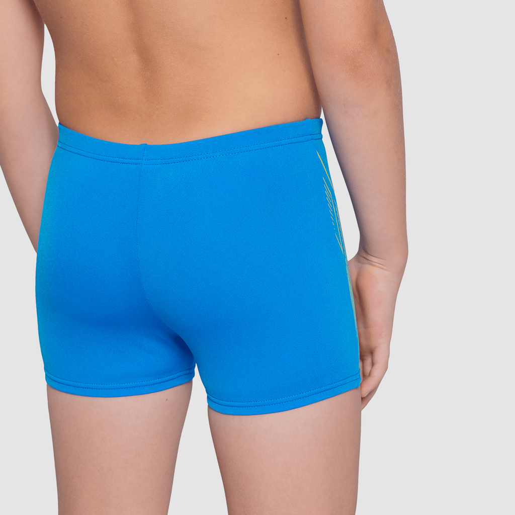 Arena B Arena Reflecting Swim Short Swim Short in BLAU