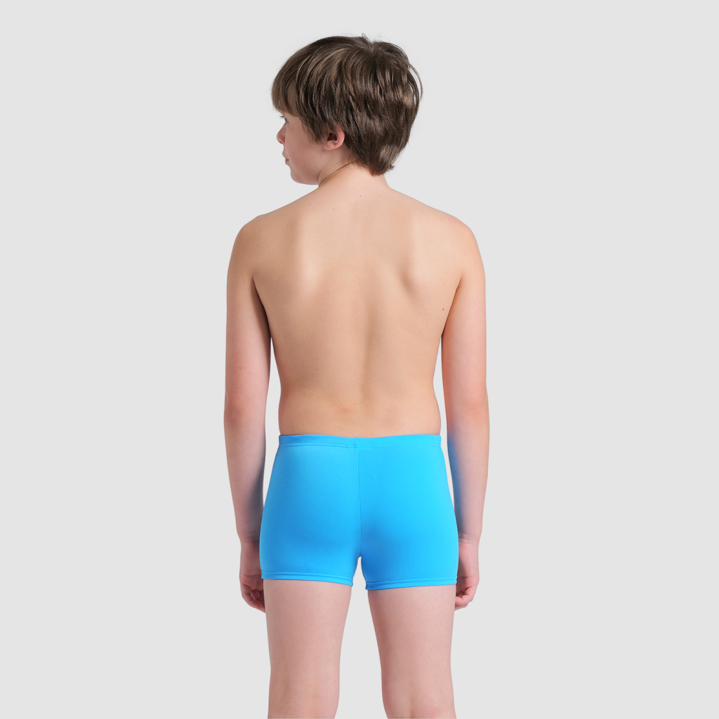 Arena B Arena Losange Graphic Swim Short Swim Short in BLAU