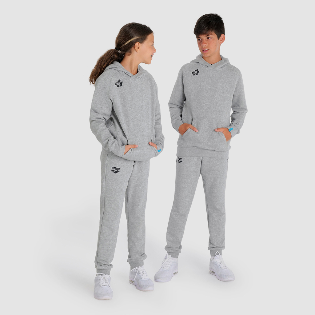 Arena Team Hooded Sweat Panel in GRAU