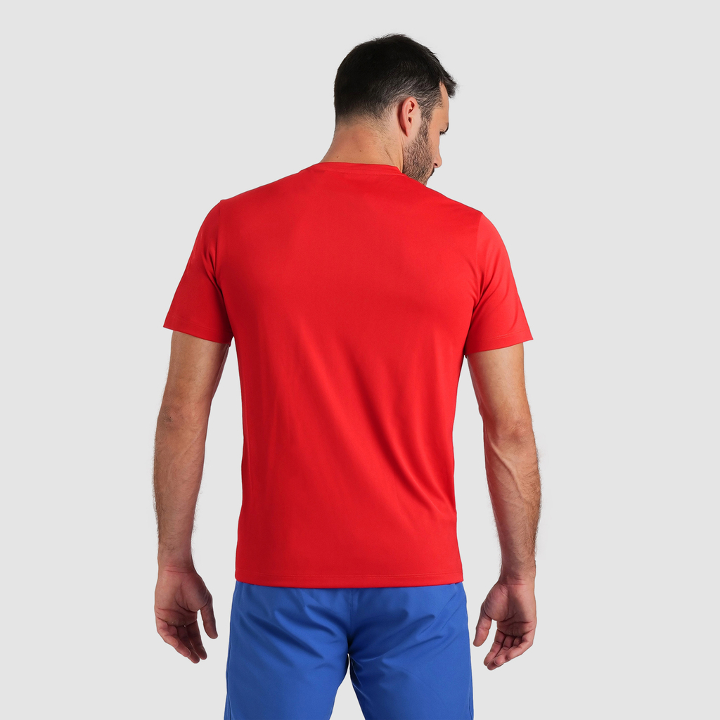 Arena Team T-Shirt Solid in ROT