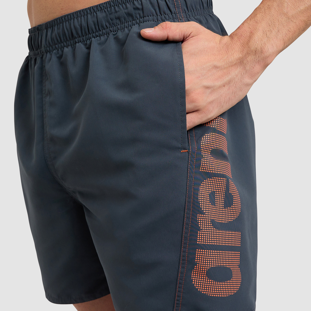 Arena Fundamentals Arena Logo Boxer R in GRAU