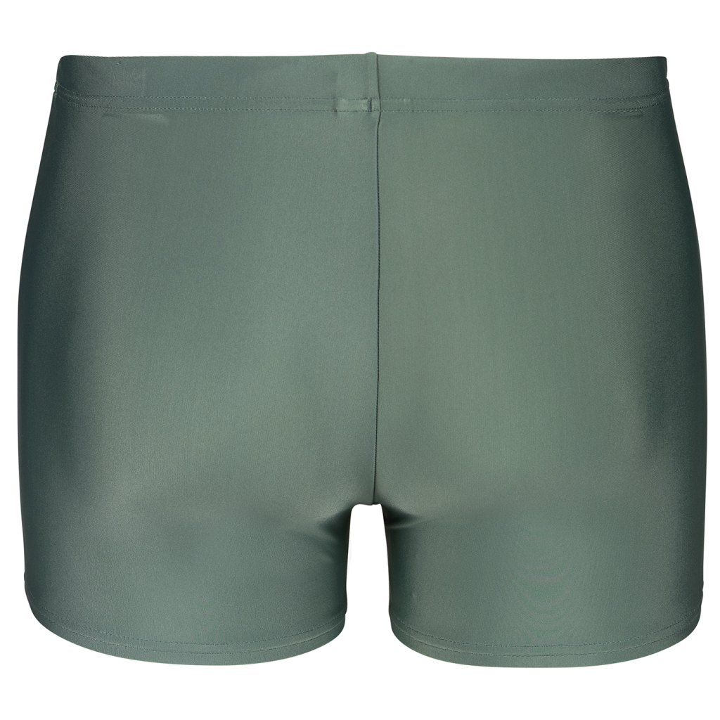 Arena M Arena Basic Swim Short Swim Short in GRAU