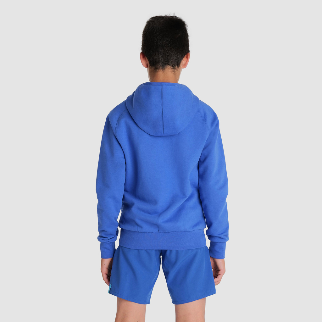 Arena Team Hooded Sweat Panel in BLAU