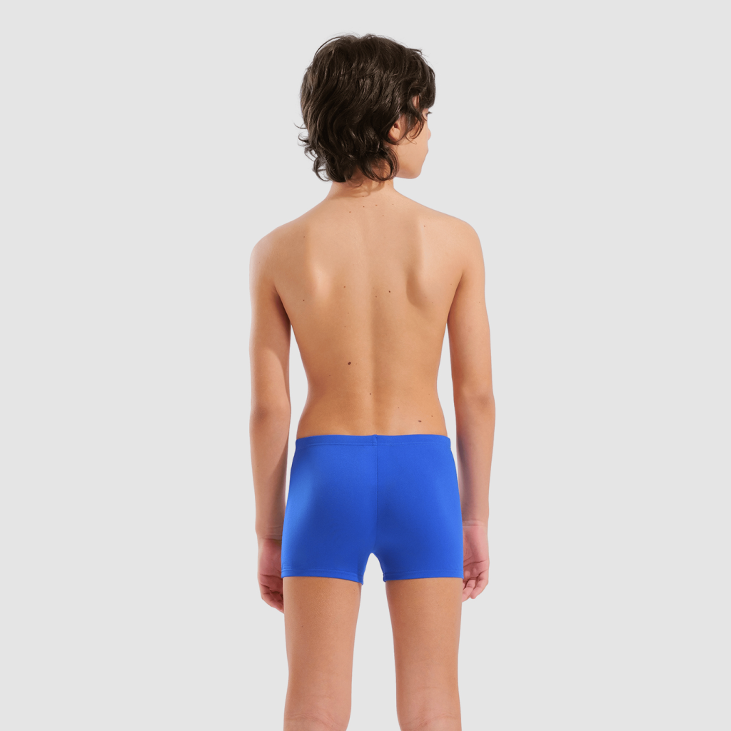 Arena B Arena Bright Swim Short Swim Short in BLAU