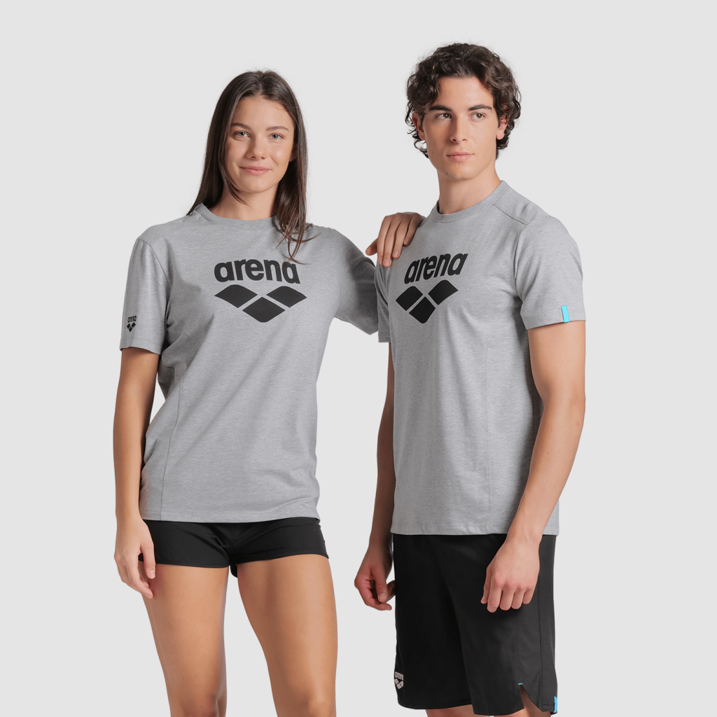Arena T-Shirt Logo T-Shirt in GRAU