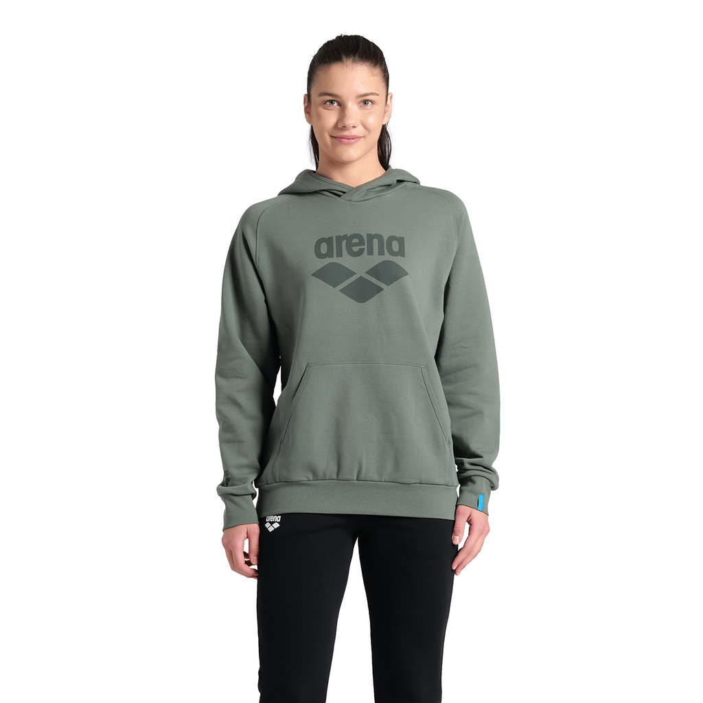 Arena Hooded Sweat Logo Kapuzenpullover in GRÜN