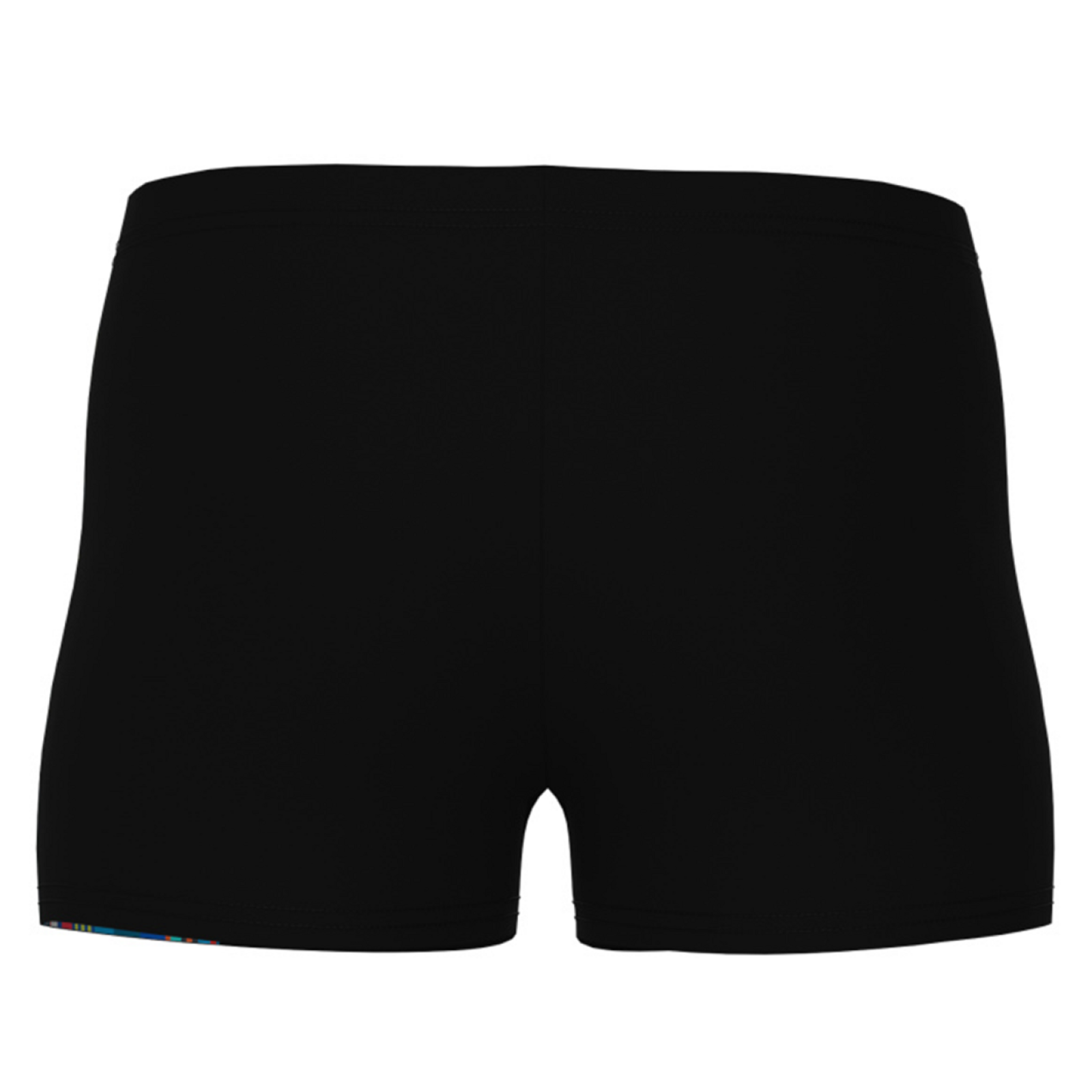 Arena B Arena Palette Swim Short Swim Short in SCHWARZ