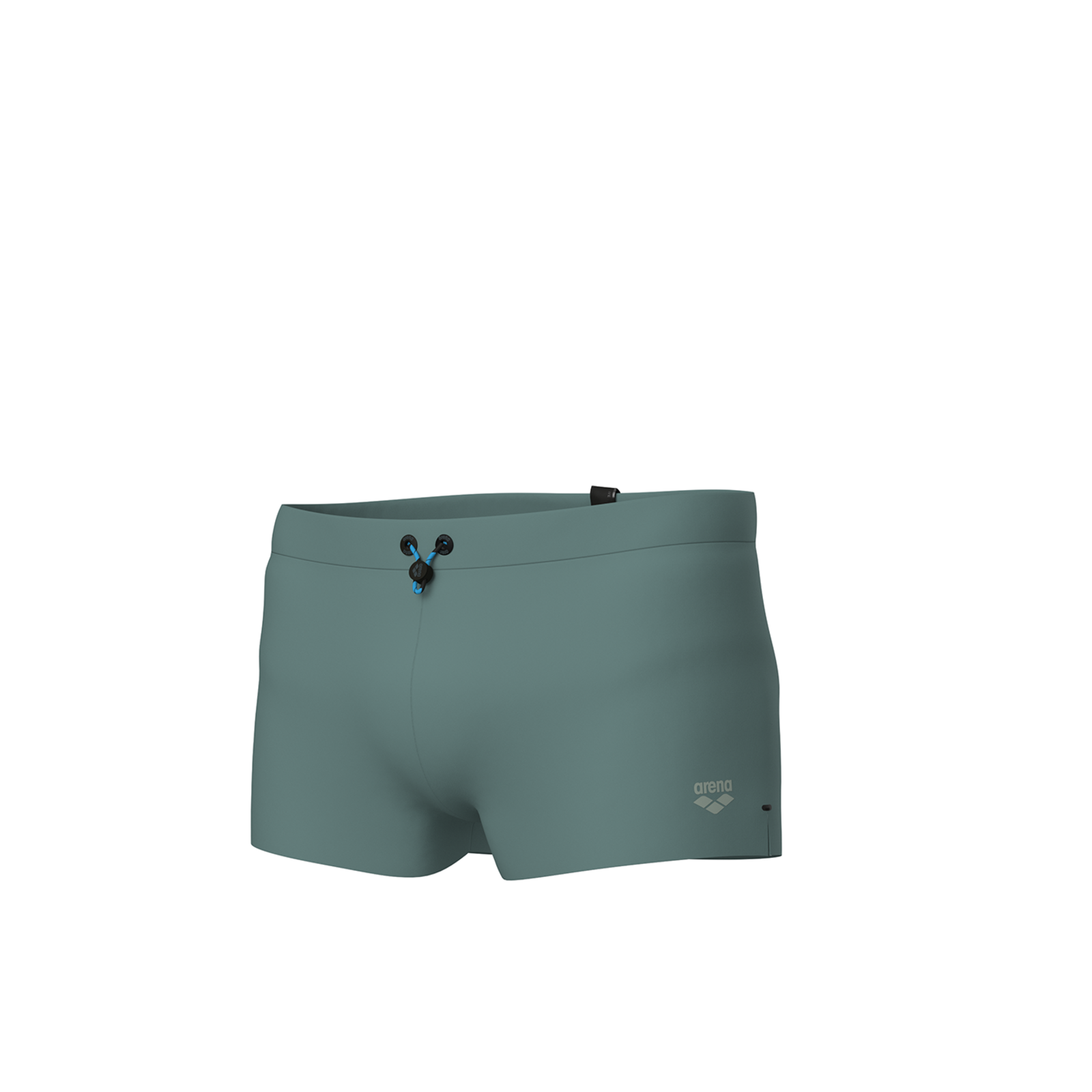 Arena M Arena Evo Swim Short Swim Short in GRÜN