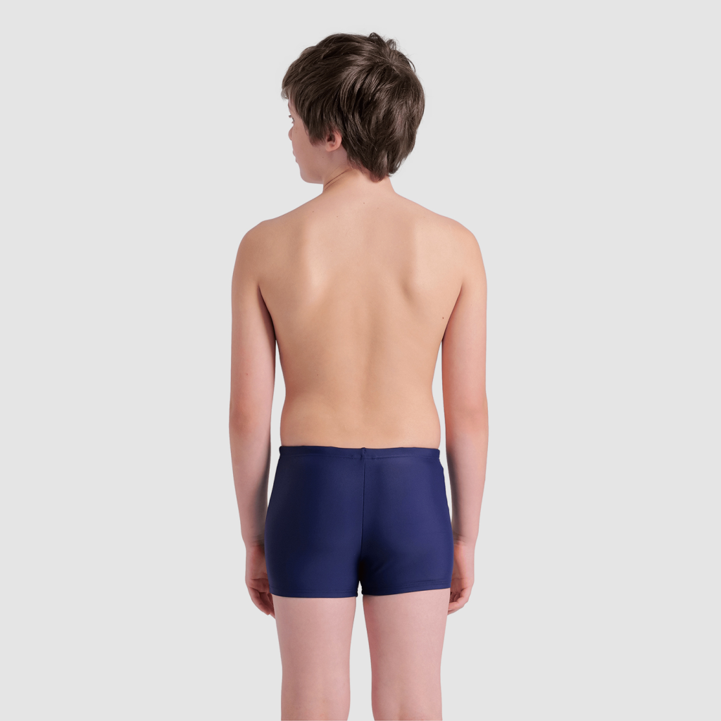 Arena Arena Kikko V Swim Short Graphic in BLAU