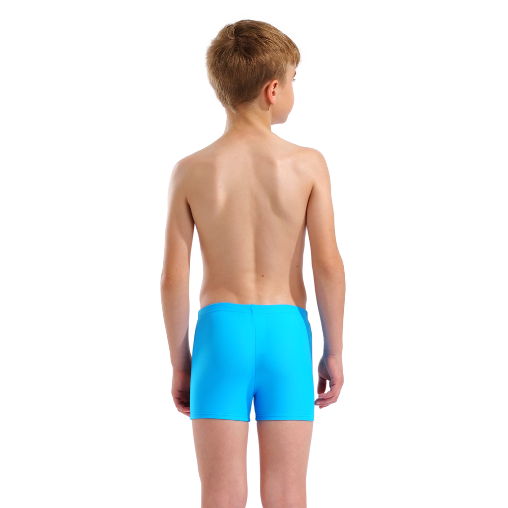 Arena B Arena Graphic Swim Short Swim Short in BLAU