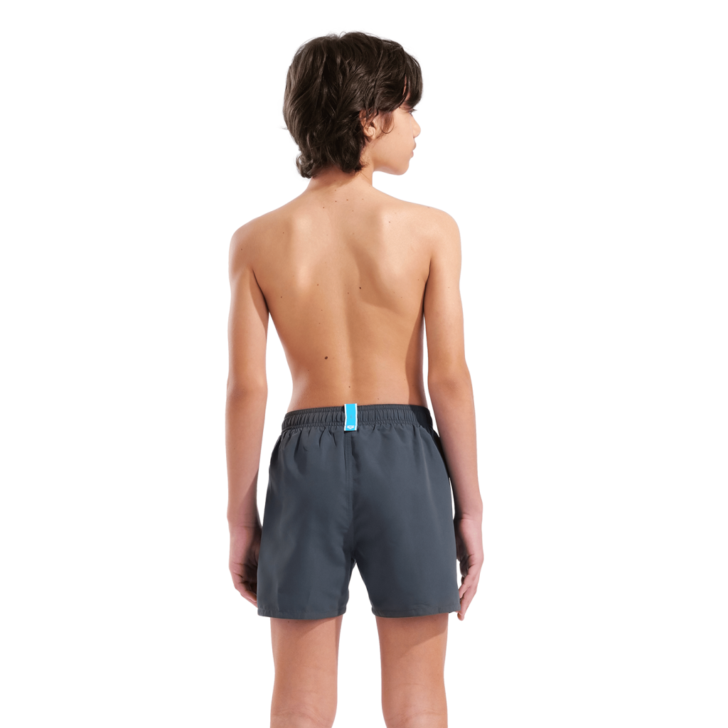 Arena Beach Boxer Solid R in GRAU